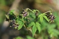 Ã£ÆâÃ£ÆÂ¥Ã£ÆÂ¼Ã£ÆÂ Ã£ÆÂ©Ã£âÂ¹Ã£âÂ¹Ã£âÂ­Ã£ÆÂ£Ã£ÆÂ³Ã£Æâ¡Ã£ÆÂ³Ã£âÂ¹Ã£ÆÂ¡Ã£âÂ¹Ã£ÂÂ®Ã¨Å Â±